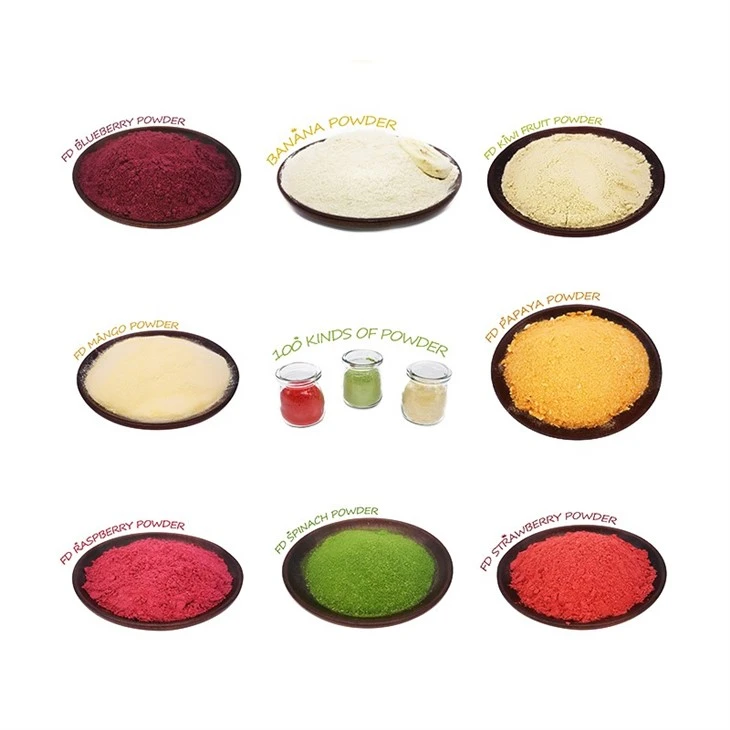 Fruit Juice Powder