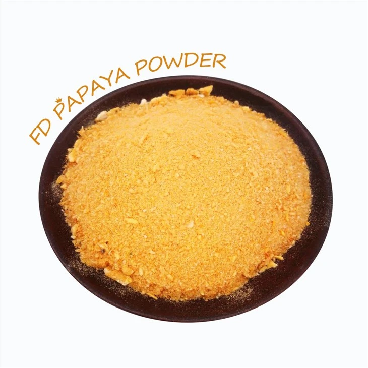 Fruit Juice Powder