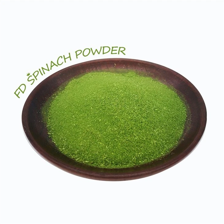 Fruit Juice Powder