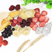 פרי יבש פריך